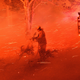 Illustration for article titled Its Not Arson, You Absolute Fucking Morons